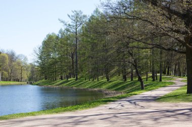 Bahar güneş Ekaterininsky park. Pushkin, Leningrad bölgesinde
