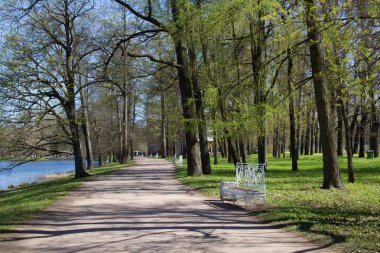 Bahar güneş Ekaterininsky park. Pushkin, Leningrad bölgesinde