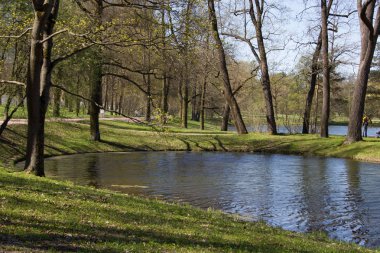 Bahar güneş Ekaterininsky park. Pushkin, Leningrad bölgesinde