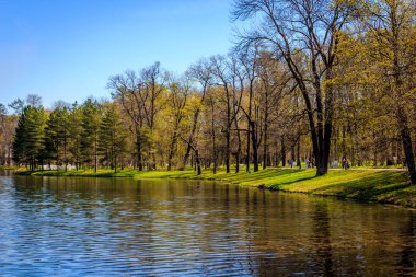 Bahar güneş Ekaterininsky park. Pushkin, Leningrad bölgesinde