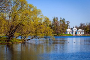 Bahar güneş Ekaterininsky park. Pushkin, Leningrad bölgesinde