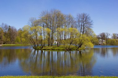 Bahar güneş Ekaterininsky park. Pushkin, Leningrad bölgesinde
