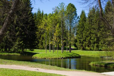 Bahar güneş Ekaterininsky park. Pushkin, Leningrad bölgesinde