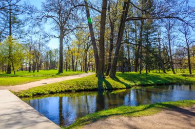 Bahar güneşli Catherine Park. Pushkin, Leningrad bölgesinde
