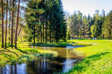 Bahar güneşli Catherine Park. Pushkin, Leningrad bölgesinde