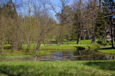 Bahar güneşli Catherine Park. Pushkin, Leningrad bölgesinde