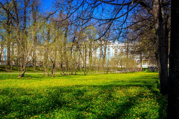 Весняна Алея Парку Вдень — стокове фото
