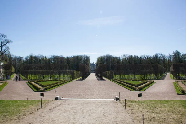 Lente Steegje Het Park Overdag — Stockfoto