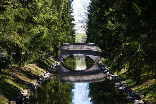 Parkban Egy Kis Folyón Híd — Stock Fotó