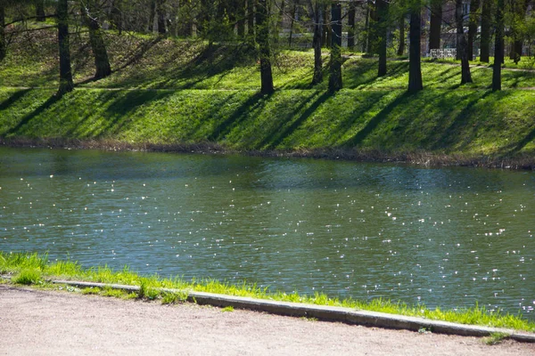 Jarní Sluneční Jekatěrinského Parku Puškin Leningrad Region — Stock fotografie