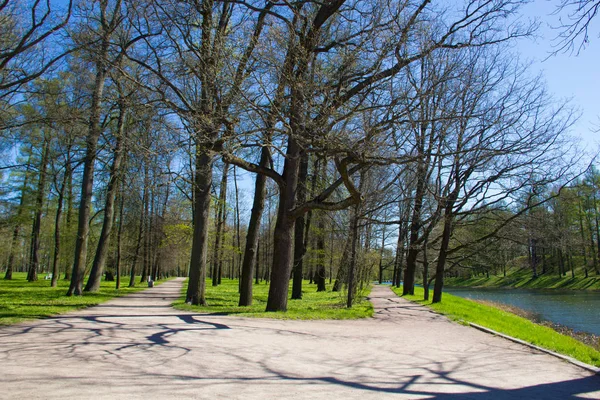 Bahar güneş Ekaterininsky park. Pushkin, Leningrad bölgesinde