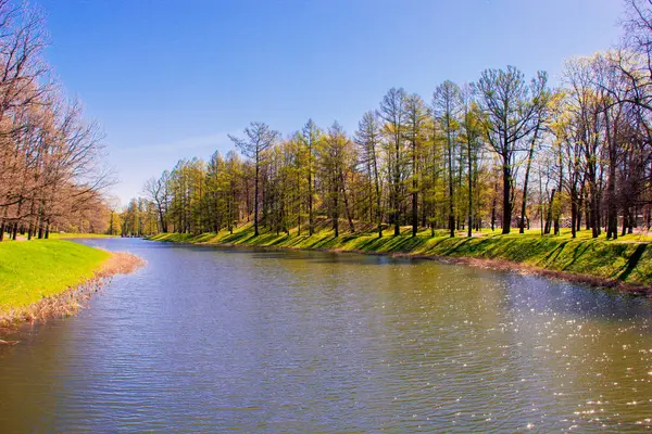 Bahar güneş Ekaterininsky park. Pushkin, Leningrad bölgesinde