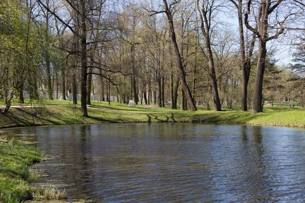 Bahar güneş Ekaterininsky park. Pushkin, Leningrad bölgesinde