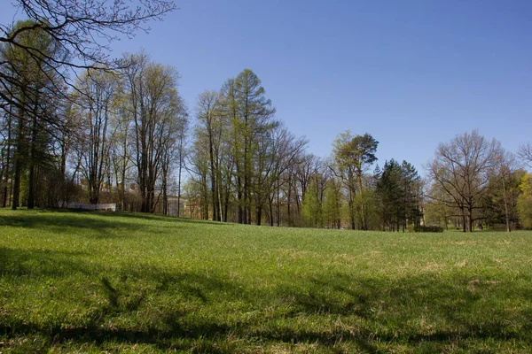 Bahar güneş Ekaterininsky park. Pushkin, Leningrad bölgesinde
