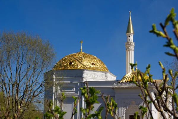 Turks Bad Het Catherine Park Van Poesjkin Regio Leningrad Petersburg — Stockfoto