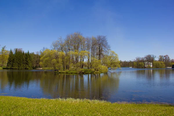 Frühling Solar Ekaterinininsky Park Puschkin Leningrader Gebiet — Stockfoto
