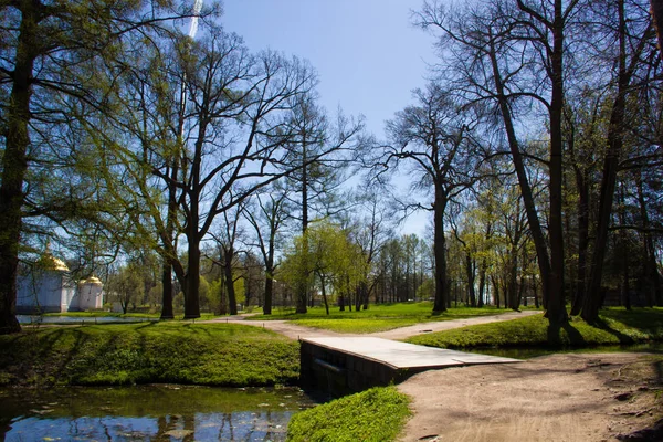 Våren Solig Catherine Park Pushkin Leningrad Region — Stockfoto