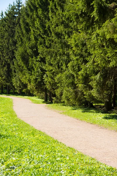 Bahar güneşli Catherine Park. Pushkin, Leningrad bölgesinde