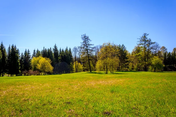 Bahar güneşli Catherine Park. Pushkin, Leningrad bölgesinde