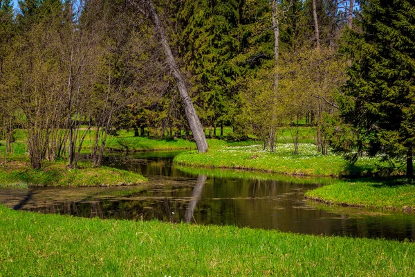 Bahar güneşli Catherine Park. Pushkin, Leningrad bölgesinde