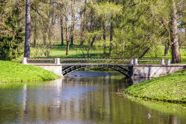 Bahar güneşli Catherine Park. Pushkin, Leningrad bölgesinde