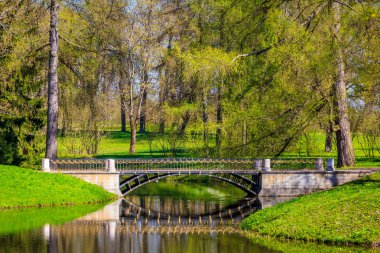 Bahar güneşli Catherine Park. Pushkin, Leningrad bölgesinde