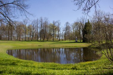 Bahar güneşli Catherine Park. Pushkin, Leningrad bölgesinde