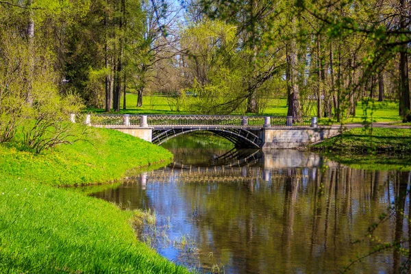 Bahar güneşli Catherine Park. Pushkin, Leningrad bölgesinde