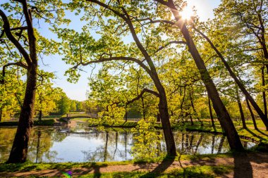 Yaz akşam güneşli park