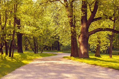 Yaz akşam güneşli park