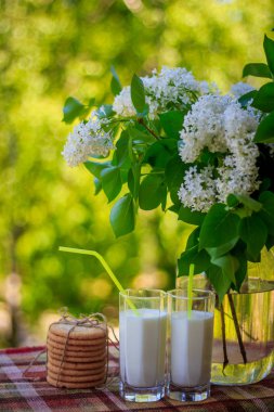 Birkaç kurabiye, bardak süt ve çiçekler