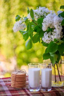 Birkaç kurabiye, bardak süt ve çiçekler