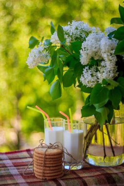 Birkaç kurabiye, bardak süt ve çiçekler