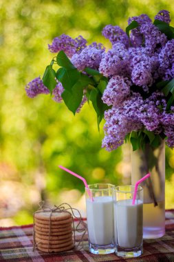 Birkaç kurabiye, bardak süt ve çiçekler