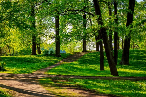 Yaz akşam güneşli park