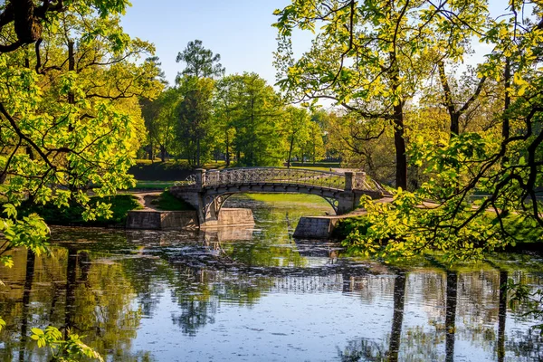 Letni Wieczór Słoneczny Park — Zdjęcie stockowe