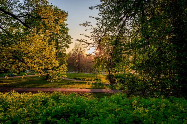 Nyári Este Napos Park — Stock Fotó