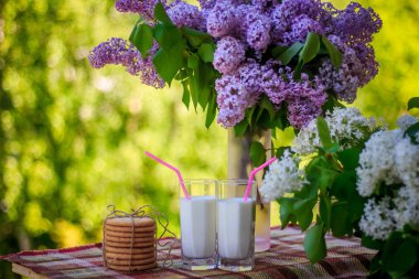 Birkaç kurabiye, bardak süt ve çiçekler