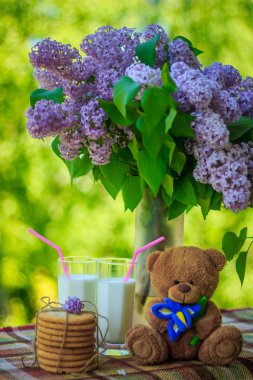 Bir sürü kurabiye, bardak süt ve çiçekler ve yumuşak bir oyuncak ayı.