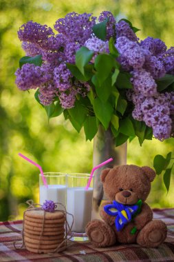 Bir sürü kurabiye, bardak süt ve çiçekler ve yumuşak bir oyuncak ayı.