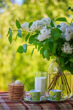 Bardak çay bisküvi ile bir Vazoda Çiçekler