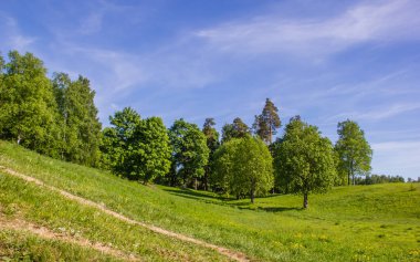 Parlak yaz park peyzaj