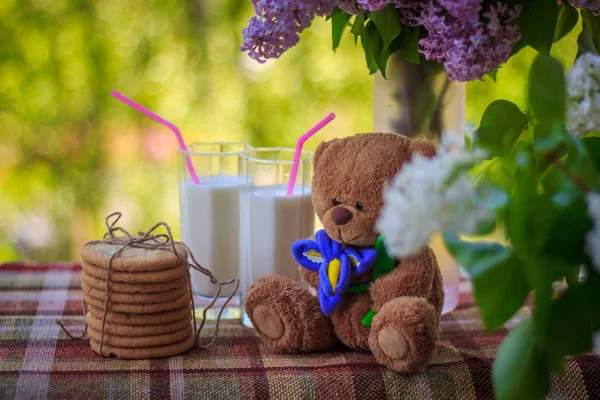 Kilka Plików Cookie Szklanek Mleka Kwiaty Miękkie Niedźwiedź Zabawka — Zdjęcie stockowe