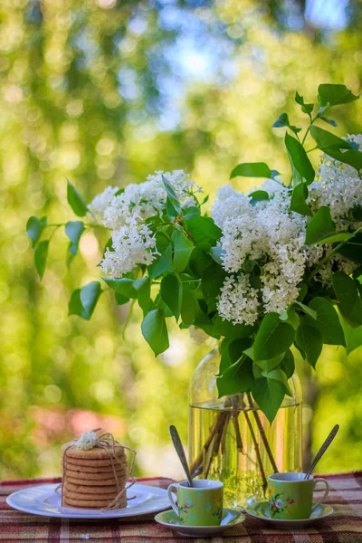Bardak çay bisküvi ile bir Vazoda Çiçekler