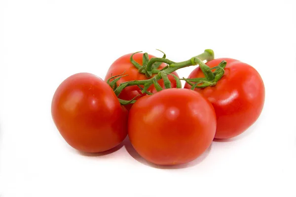 在白色背景上的树枝上的西红柿 白色背景的蔬菜 白色背景食物 — 图库照片