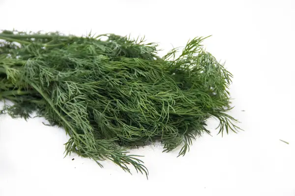 beyaz zemin üzerine taze dereotu