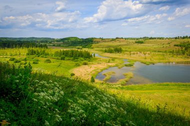 Pskov, Izborsk yakın Rus alan alanlarda