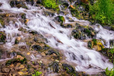 Izborsk, Rusya'nın kutsal yaylar