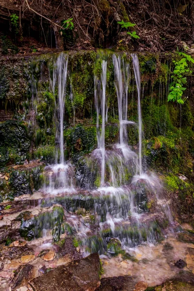 Izborsk Rusya Nın Kutsal Yaylar — Stok fotoğraf