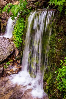 Izborsk, Rusya'nın kutsal yaylar